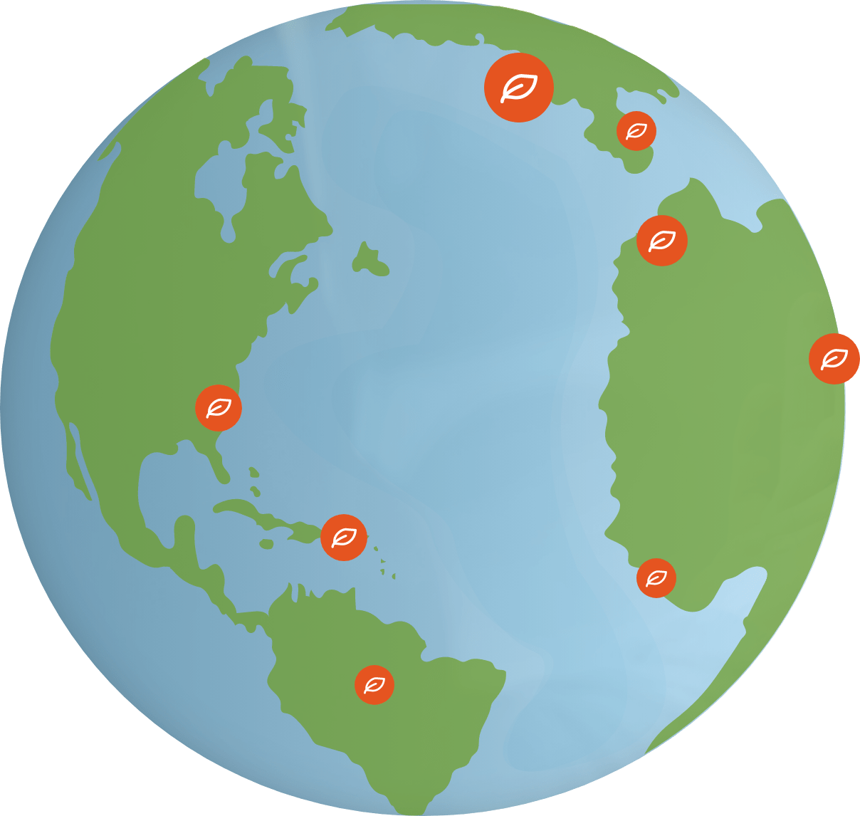 Cise international